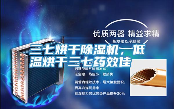 三七烘幹草莓污视频在线看，低溫烘幹三七藥效佳