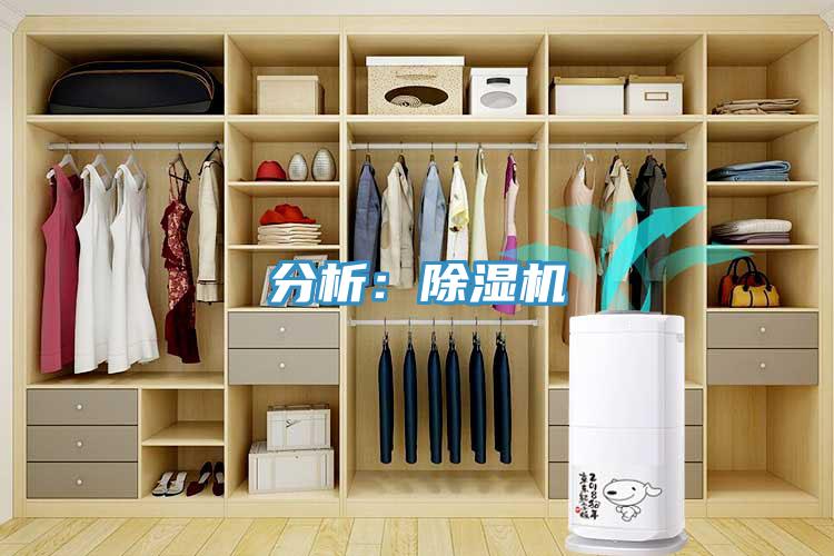 分析：草莓污视频在线看