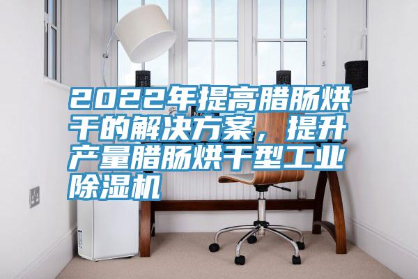 2022年提高臘腸烘幹的解決方案，提升產量臘腸烘幹型工業草莓污视频在线看