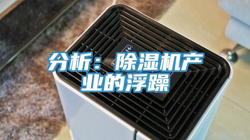 分析：草莓污视频在线看產業的浮躁