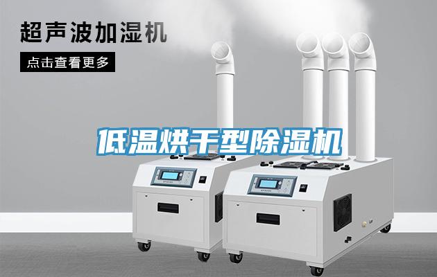 低溫烘幹型草莓污视频在线看