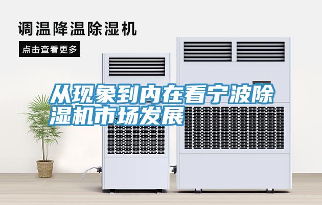 從現象到內在看寧波草莓污视频在线看市場發展