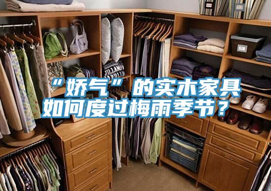 “嬌氣”的實木家具如何度過梅雨季節？