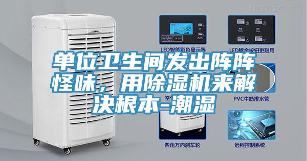 單位衛生間發出陣陣怪味，用草莓污视频在线看來解決根本-潮濕