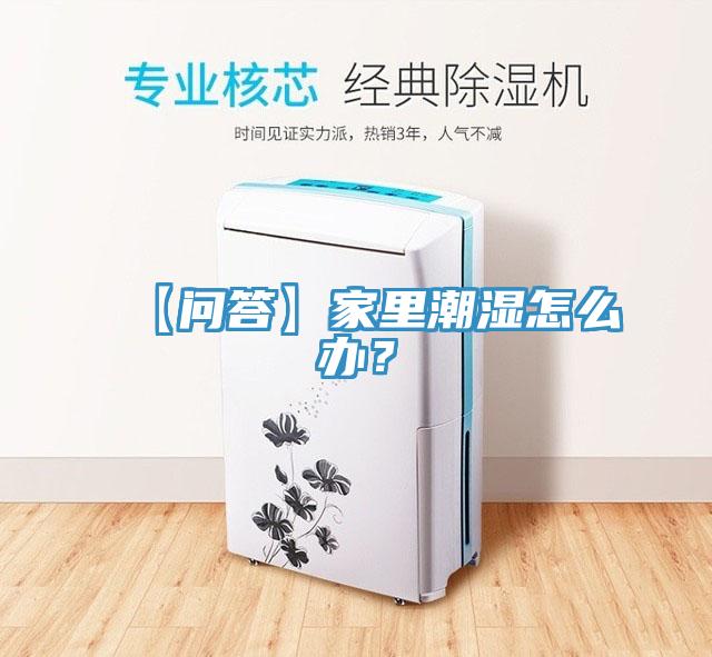 【問答】家裏潮濕怎麽辦？