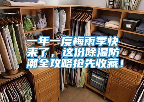 一年一度梅雨季快來了，這份除濕防潮全攻略搶先收藏！