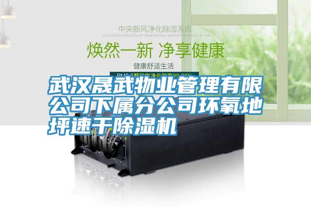 武漢晟武物業管理有限公司下屬分公司環氧地坪速幹草莓污视频在线看