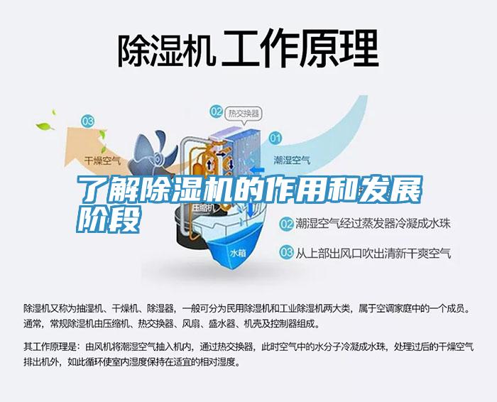 了解草莓污视频在线看的作用和發展階段