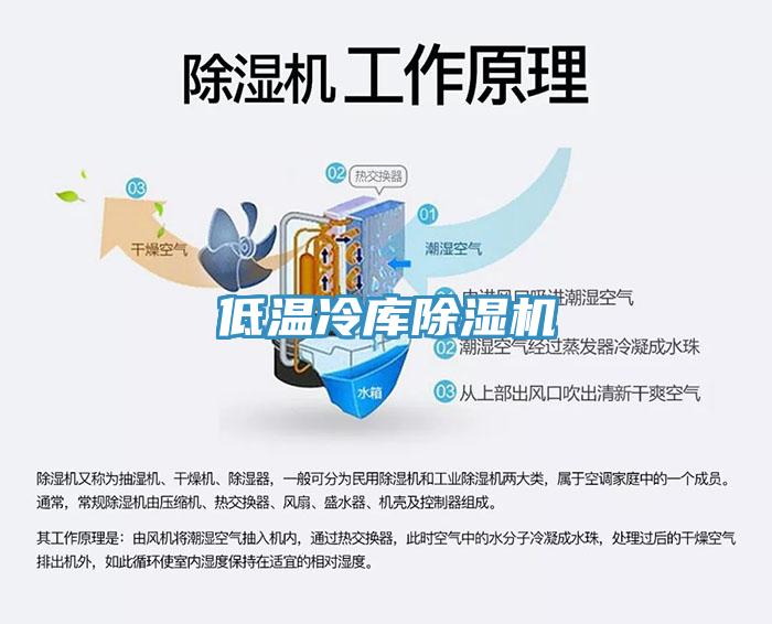 低溫冷庫草莓污视频在线看