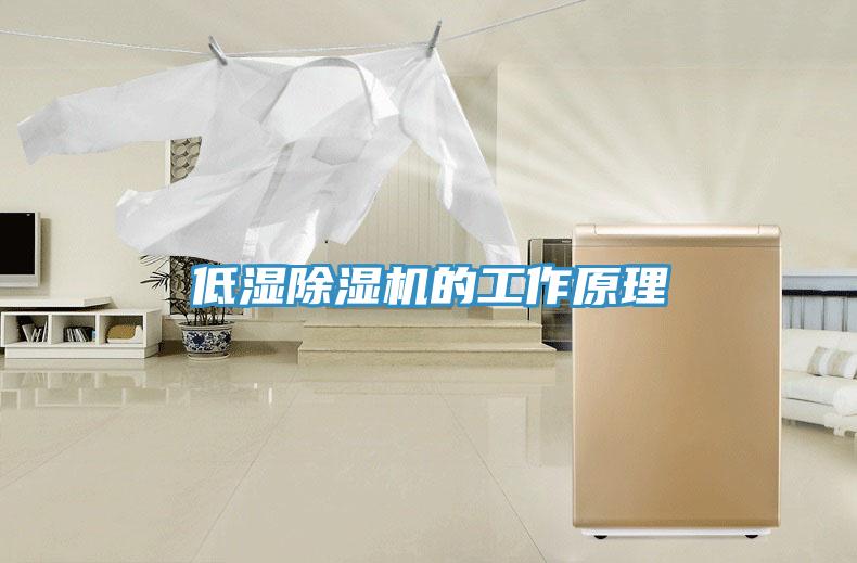 低濕草莓污视频在线看的工作原理