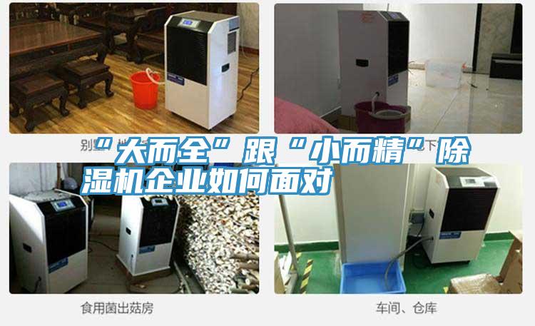 “大而全”跟“小而精”草莓污视频在线看企業如何麵對