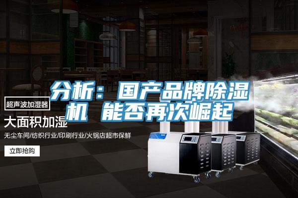 分析：國產品牌草莓污视频在线看 能否再次崛起