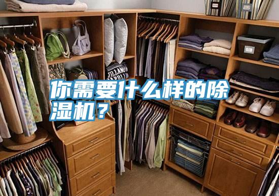 你需要什麽樣的草莓污视频在线看？