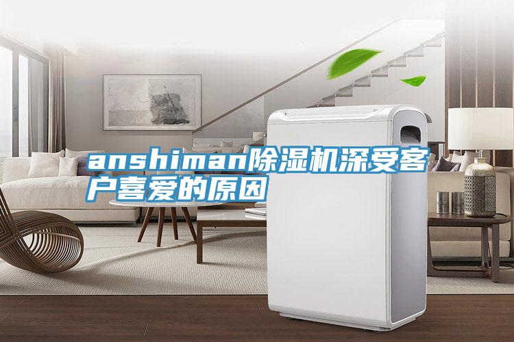 anshiman草莓污视频在线看深受客戶喜愛的原因