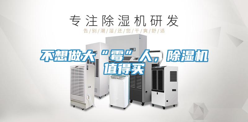 不想做大“黴”人，草莓污视频在线看值得買
