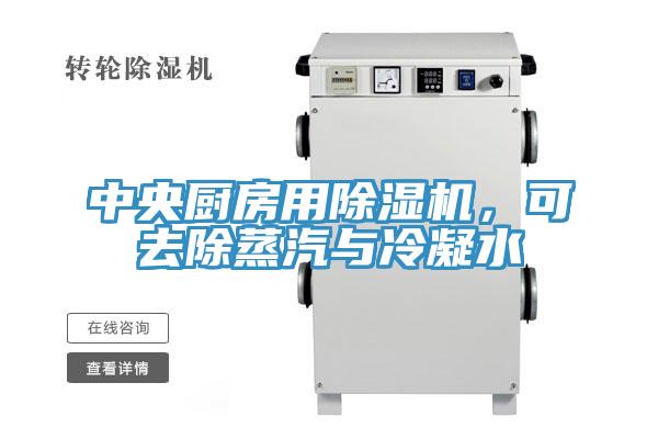 中央廚房用草莓污视频在线看，可去除蒸汽與冷凝水