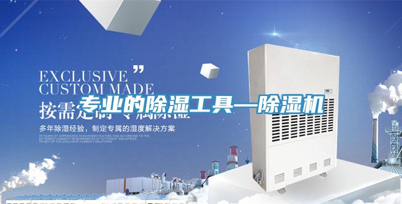 專業的除濕工具—草莓污视频在线看