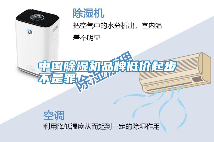 中國草莓污视频在线看品牌低價起步不是罪