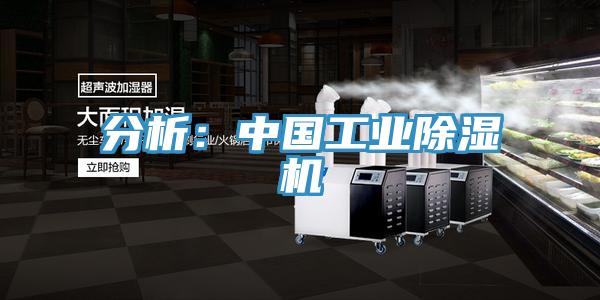 分析：中國工業草莓污视频在线看