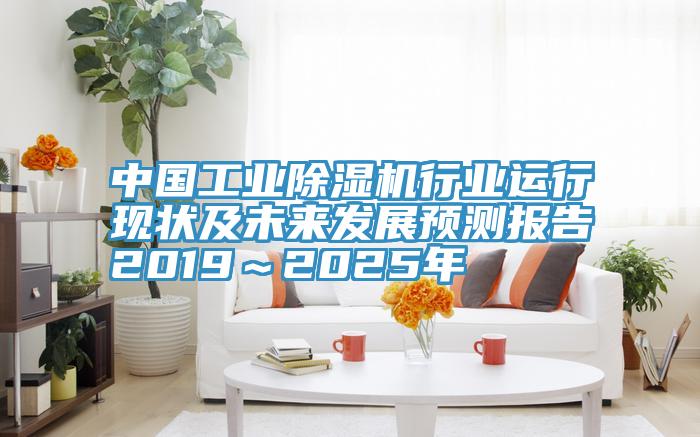 中國工業草莓污视频在线看行業運行現狀及未來發展預測報告2019～2025年