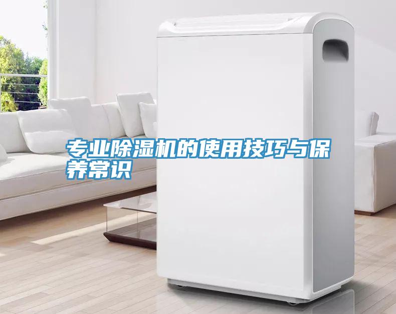 專業草莓污视频在线看的使用技巧與保養常識