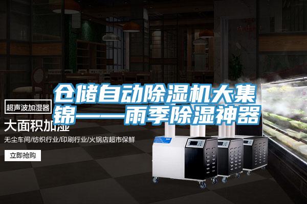 倉儲自動草莓污视频在线看大集錦——雨季除濕神器