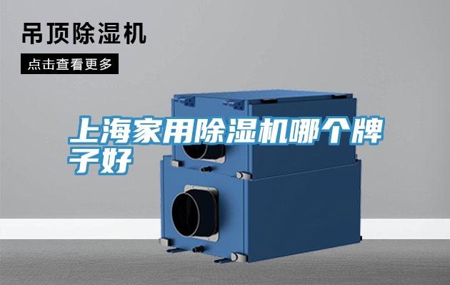 上海家用草莓污视频在线看哪個牌子好