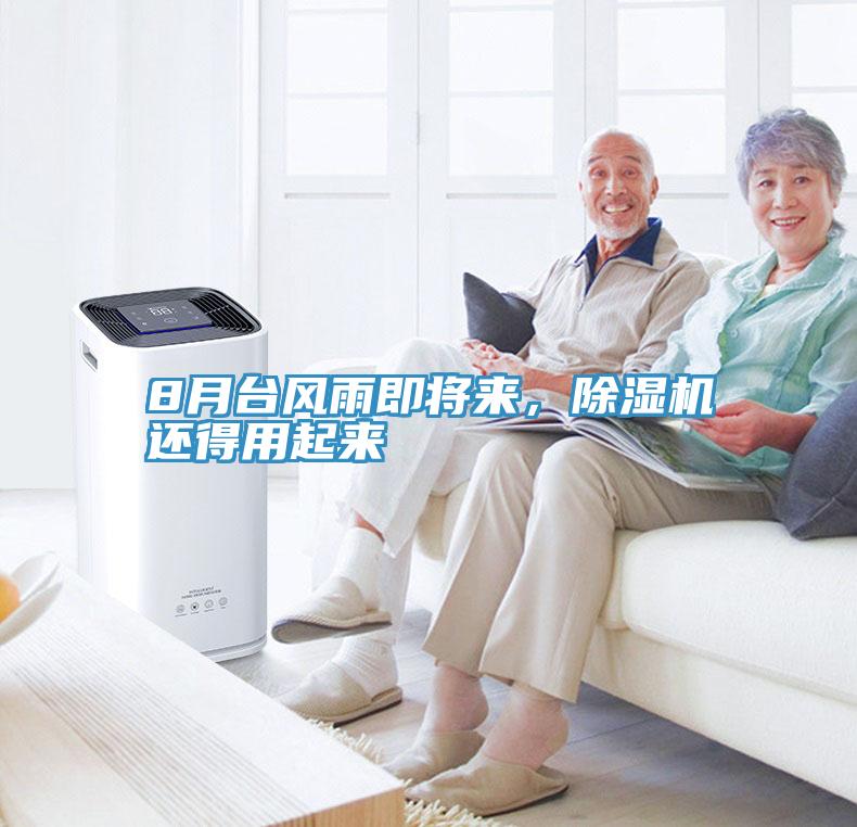 8月台風雨即將來，草莓污视频在线看還得用起來