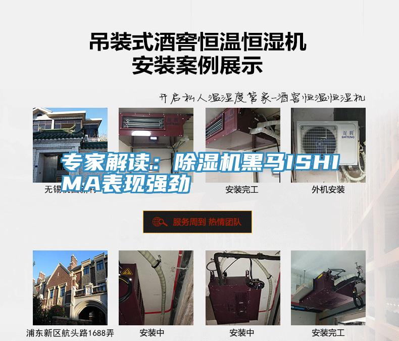 專家解讀：草莓污视频在线看黑馬ISHIMA表現強勁