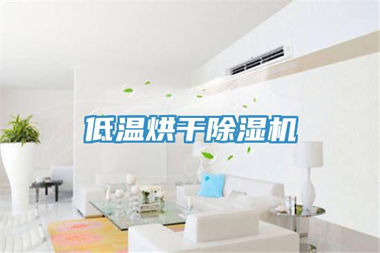 低溫烘幹草莓污视频在线看
