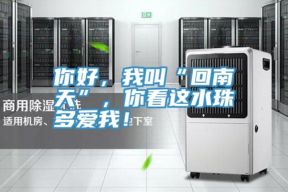 你好，我叫“回南天”，你看這水珠多愛我！