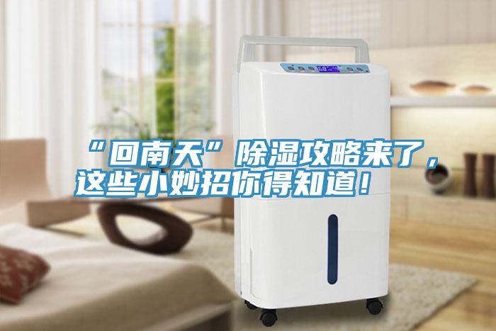 “回南天”除濕攻略來了，這些小妙招你得知道！