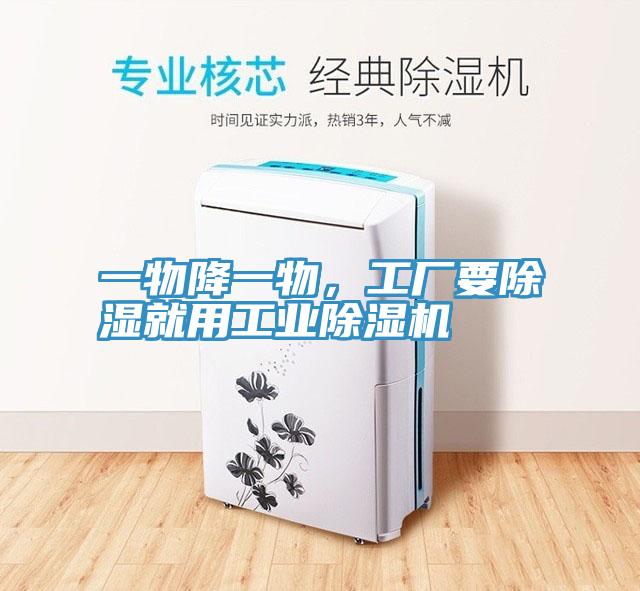 一物降一物，工廠要除濕就用工業草莓污视频在线看