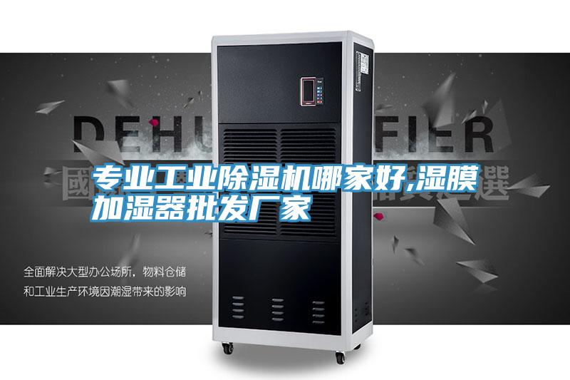 專業工業草莓污视频在线看哪家好,濕膜加濕器批發廠家