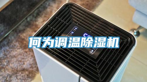 何為調溫草莓污视频在线看