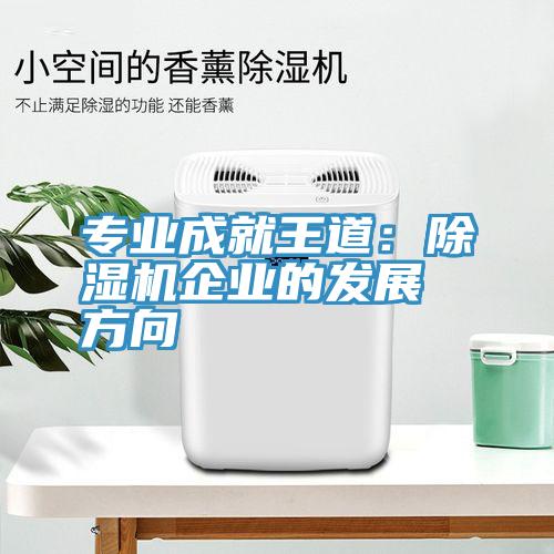 專業成就王道：草莓污视频在线看企業的發展方向