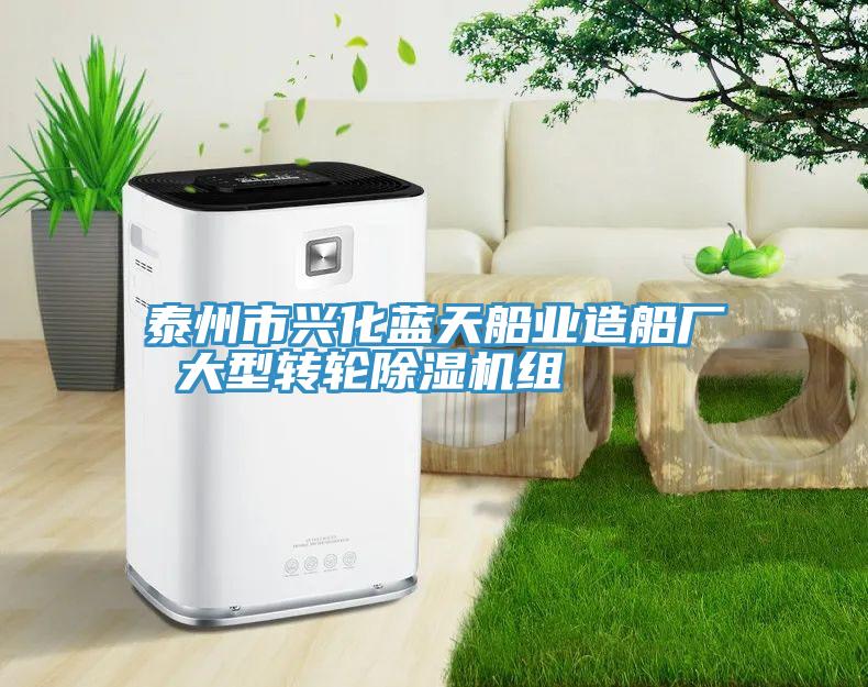 泰州市興化藍天船業造船廠 大型轉輪草莓污视频在线看組