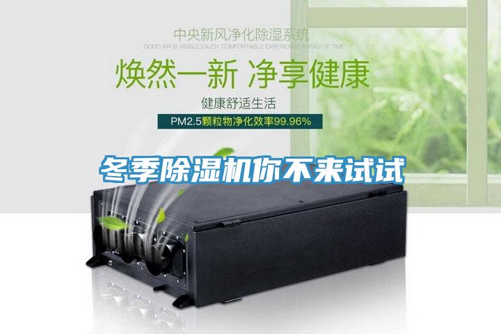 冬季草莓污视频在线看你不來試試