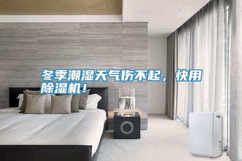 冬季潮濕天氣傷不起，快用草莓污视频在线看！