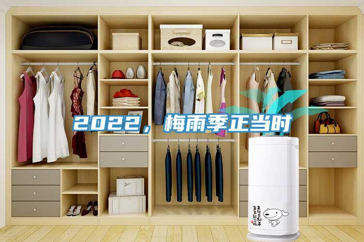 2022，梅雨季正當時