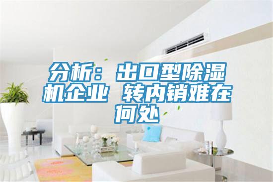 分析：出口型草莓污视频在线看企業 轉內銷難在何處