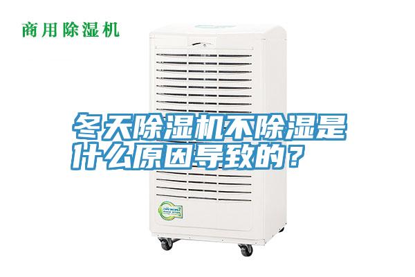 冬天草莓污视频在线看不除濕是什麽原因導致的？