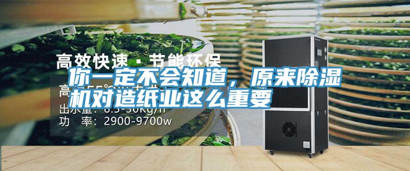 你一定不會知道，原來草莓污视频在线看對造紙業這麽重要