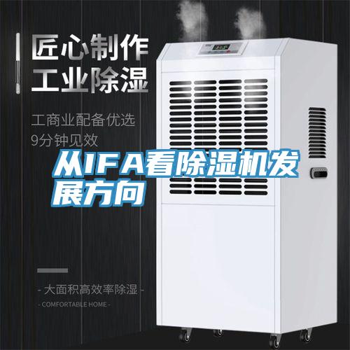 從IFA看草莓污视频在线看發展方向