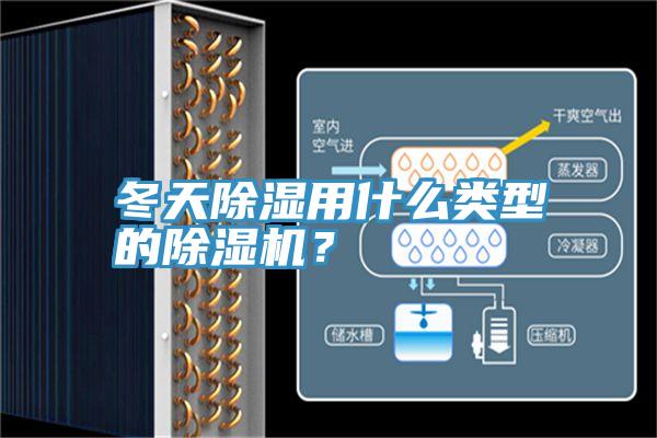冬天除濕用什麽類型的草莓污视频在线看？