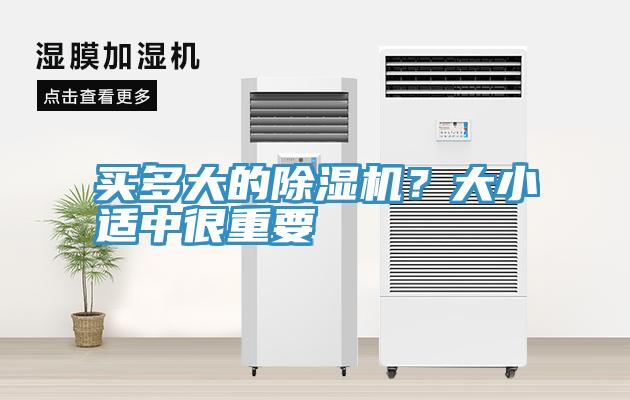 買多大的草莓污视频在线看？大小適中很重要