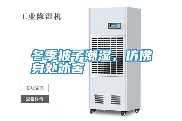 冬季被子潮濕，仿佛身處冰窖