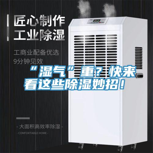 “濕氣”重？快來看這些除濕妙招！