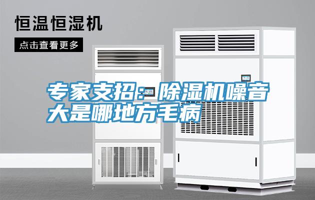 專家支招：草莓污视频在线看噪音大是哪地方毛病