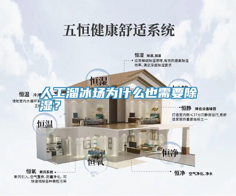 人工溜冰場為什麽也需要除濕？